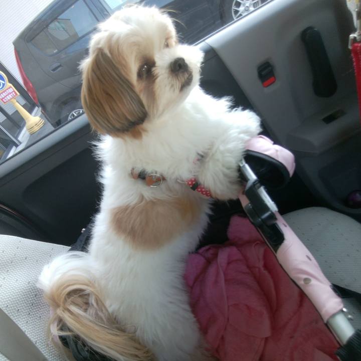 E0bb884b e662 46e6 9b02 8ab3fbd5ff8f 1509857986278