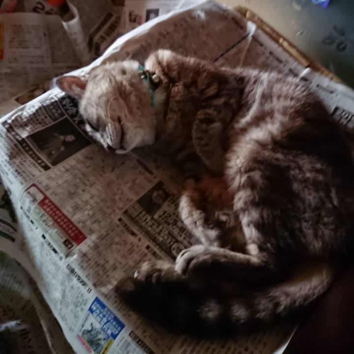 E0bbcf50 3696 463b 8464 9ae7fc966e60 1568149900571