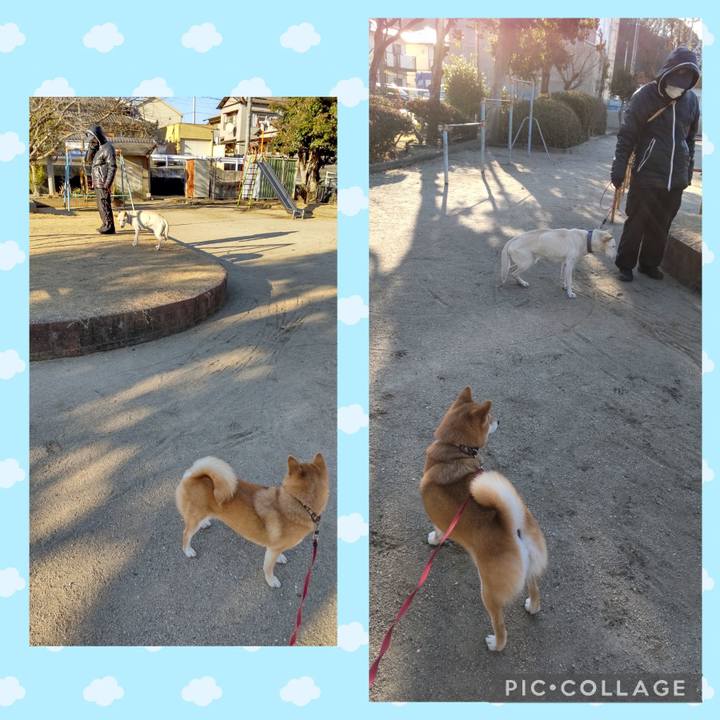 E0bc0741 78db 4541 ae65 67e480821ca8 1738803225255