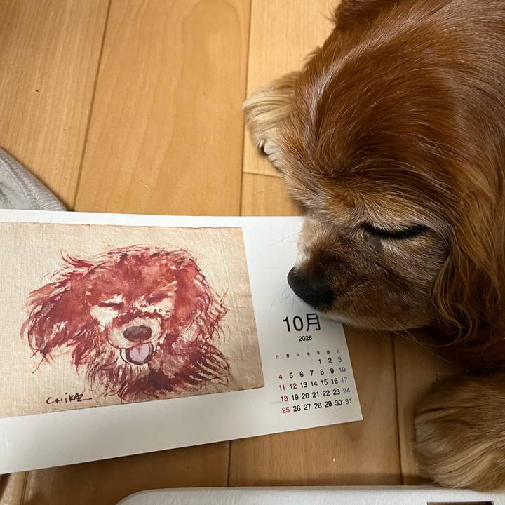 E0bc2993 7f88 4ca8 95f6 37aa6318e5d7 1767262327881