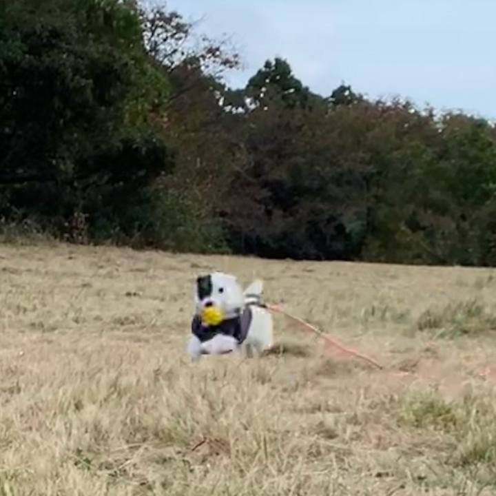 E0bc351e a076 416d 9036 2c6ccdbb5f4f 1668300324796