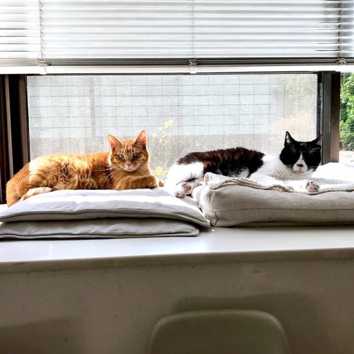 E0bc6323 34b1 4759 bc73 4d7b9d122022 1520053187583