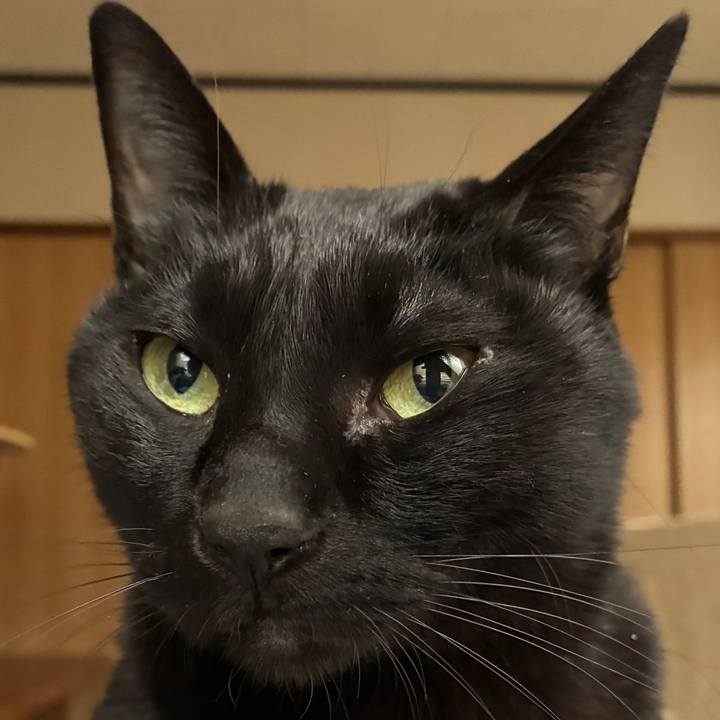 E0bc6aa0 dfbe 42a2 af4e 1c0eef8d17dc 1772261713235