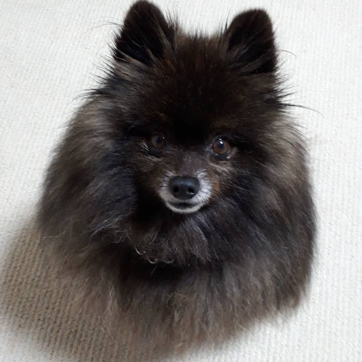 E0bc8e48 b8ee 4d4f 8cf8 9e0e7de8d072 1519850220749