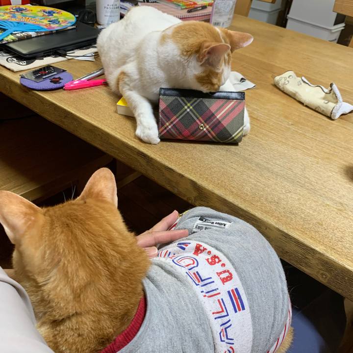 E0bc9eea bc1e 4abb b6cd 77bb5d0e153d 1626423830260