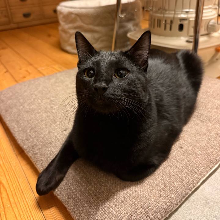 E0bccea8 ada6 4912 9c05 9dcdb896518a 1769258199636