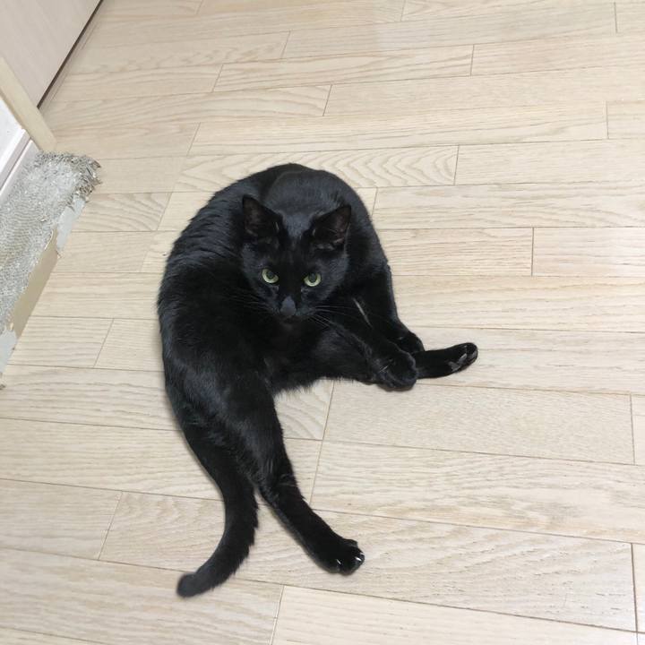 E0bcdd39 f10c 4ff1 a5cc 9a55036828d1 1607002187455