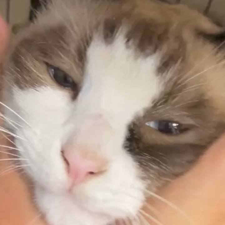 E0bcf24b 3e6b 4974 a70f 701e17a8c17f 1729223553554