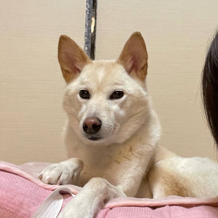 E0bd050e aaae 4876 9f3f ffae1ec1b388 1705130940574