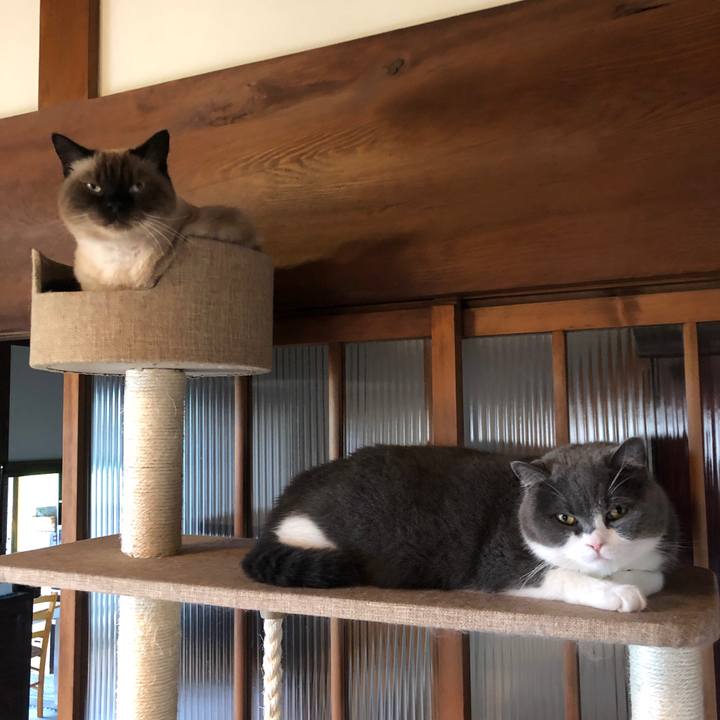 E0bd30e8 915a 43f7 aa16 d52c2f776364 1632182088381