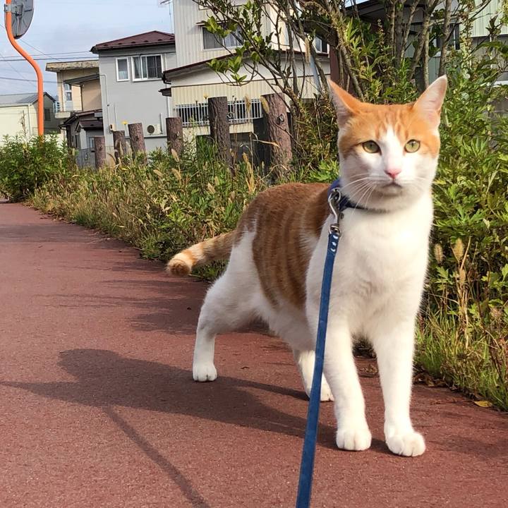 E0bd55d5 eb50 4af0 a4a6 b41c06c6807e 1541570168245