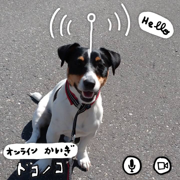 E0bd61e9 c5c6 4131 8255 1c084bb0c84d 1590719597964