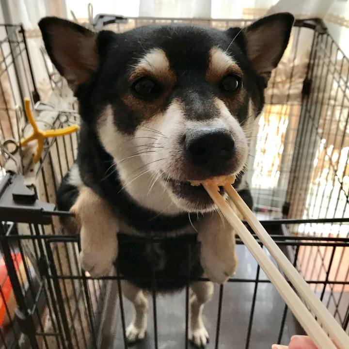 E0bd8af6 069c 4ae5 b13d e1175576061a 1511764608800