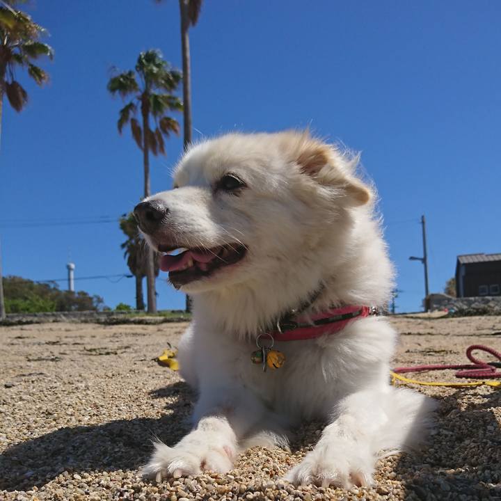 E0bd9365 cd79 410f aba2 3243a7cd3090 1637898289597