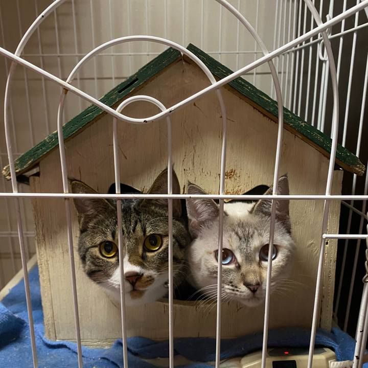 E0bd956b 5961 4bf2 ba56 6d7456bdf847 1644107275673