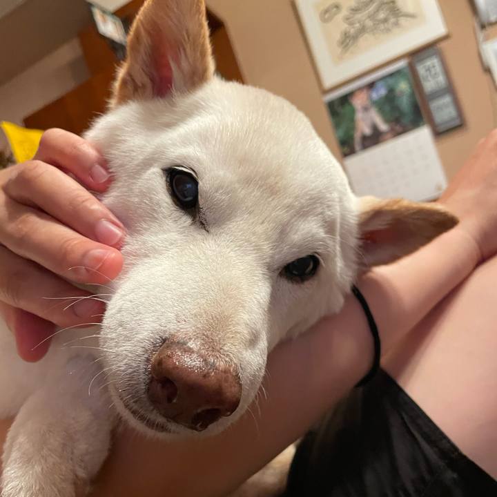 E0bdbbfd f5ab 4876 a6da 70ac3b155e28 1655739619461