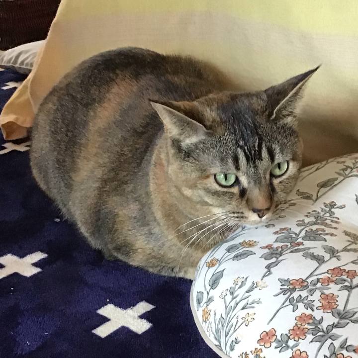 E0bdf1f3 ec11 488c 8f26 93ace5e359ae 1706935722173