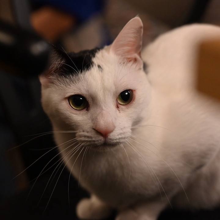 E0bdfb77 8e95 47f9 923c 6bbdee122308 1738498623943