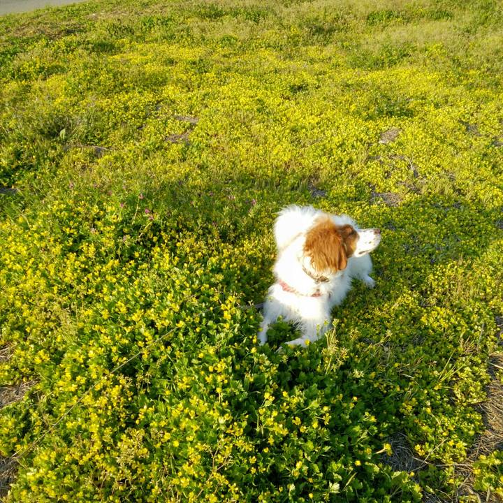 E0be63bb 2732 4b73 aba7 e6fb8b6f3099 1555155650420