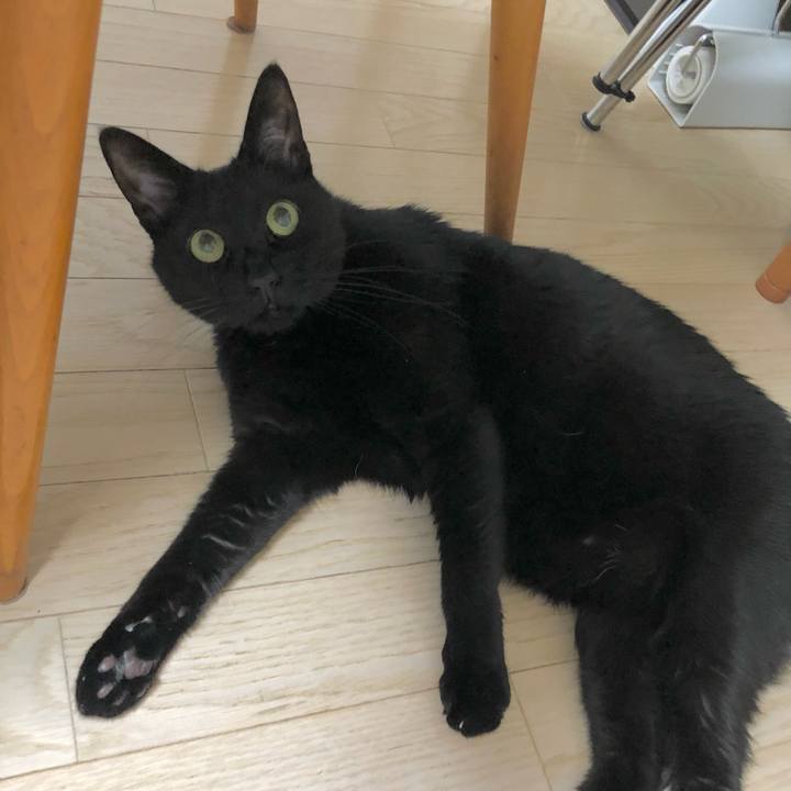 E0be7bd1 07dd 4629 957e 0ee4896575c1 1639817567655