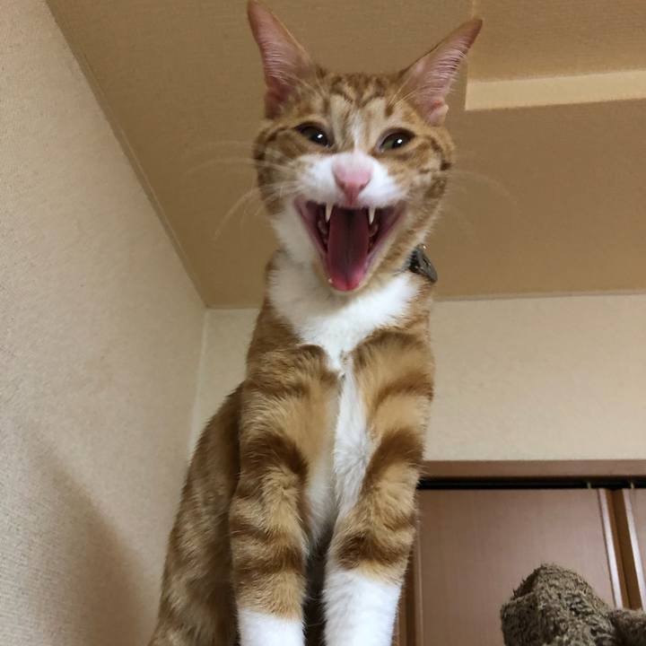 E0be8dcd baf1 4e02 a231 c533f3a17d64 1549712777720