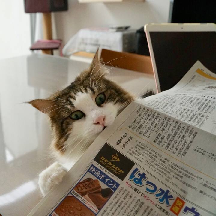 E0beb97c 2472 4947 b64f 7b79b5a94323 1549339955407