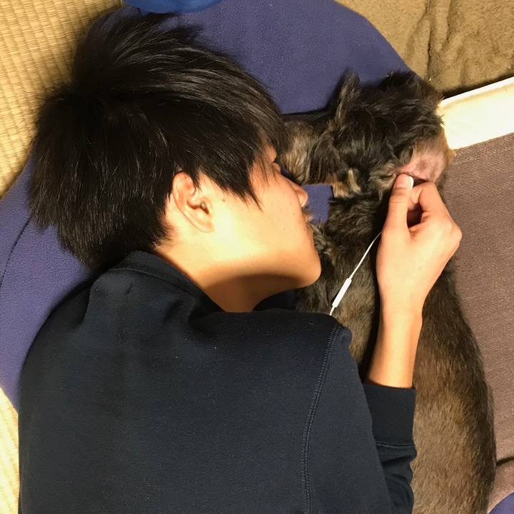 E0bed4a0 c979 4c4a 9520 1a31ad6add8f 1546188990530