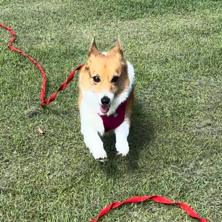 E0bedb5c 86c4 4ea2 9c1a 3e3344010983 1728615593726