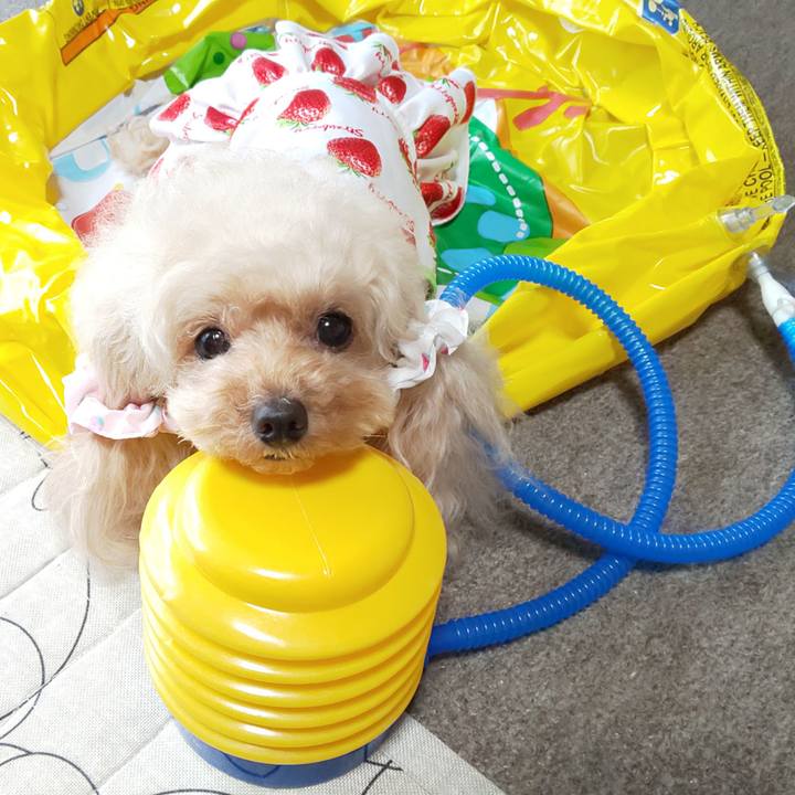 E0bee4f7 812e 4671 9a21 0cac209c92c0 1590929385084