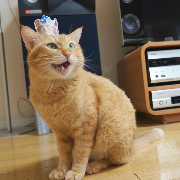 E0bf086b 9fd3 45c0 87e2 b6e8813afb6d 1759181897810