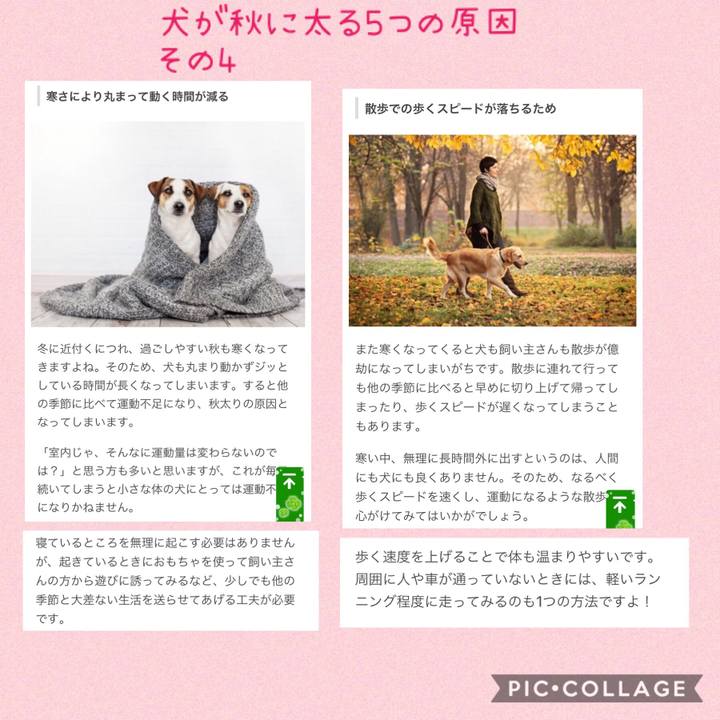 E0bf278c 5b25 4fa2 bd9c fd0681991210 1540463647828