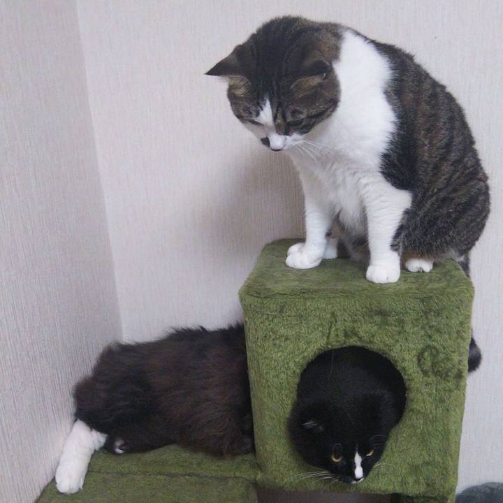 E0bf42bd ba31 4290 ae67 24fd71d6df14 1662344816452