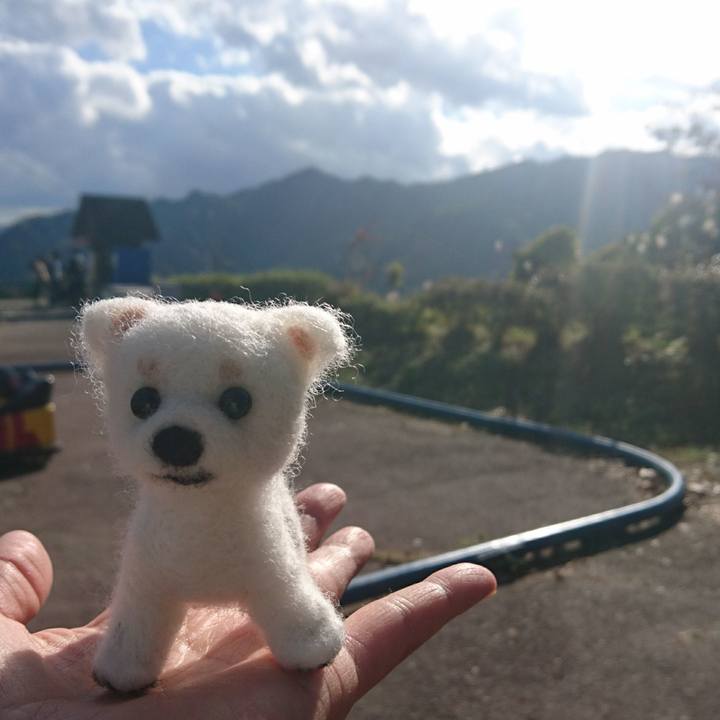 E0bf6b74 ae9b 4bc2 85f7 92593089acb4 1511154953724