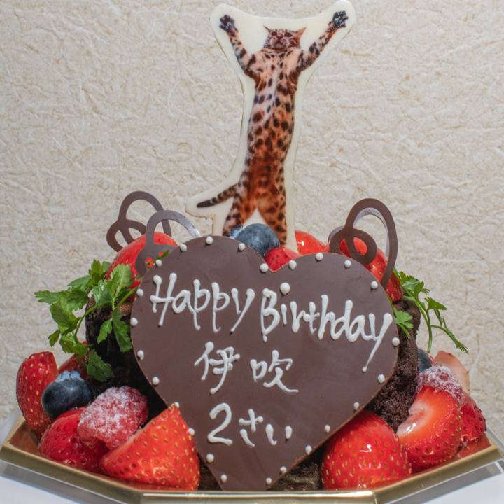 E0bf7f15 7099 4bf1 83a3 fa025a3e50a9 1538927901478