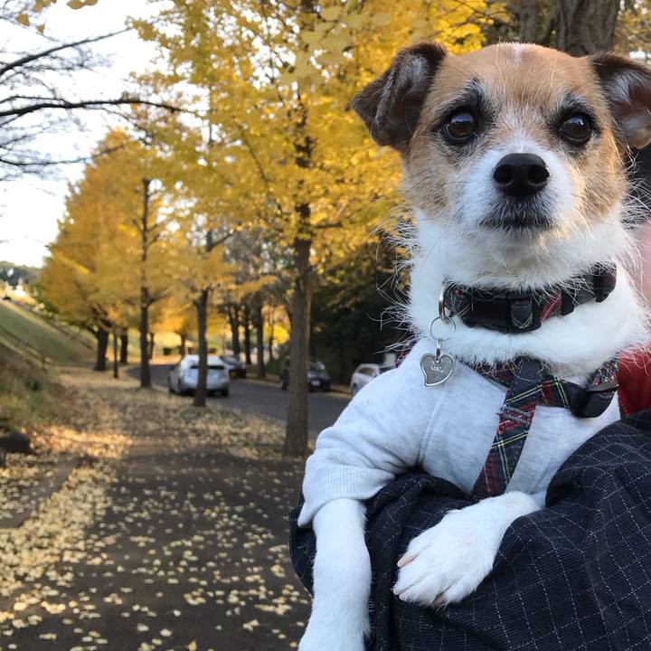 E0bf835b ddd3 4174 a6d7 66dcd5b3a74e 1543651325988