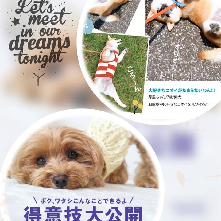 E0bfc23d 28ff 4530 bfc8 8cbf63393523 1665976502644