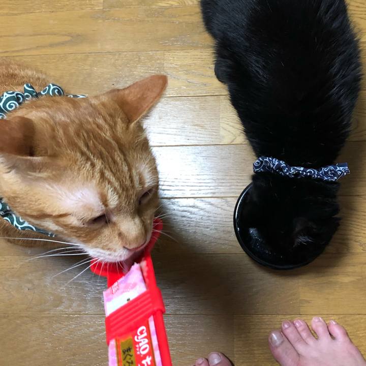 E0bfc8c1 053d 4bb8 9371 a289a164c2d3 1561202617673