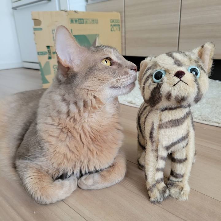 E0bfdfa3 5cca 4774 b900 86aeb1cf74d9 1676105326305