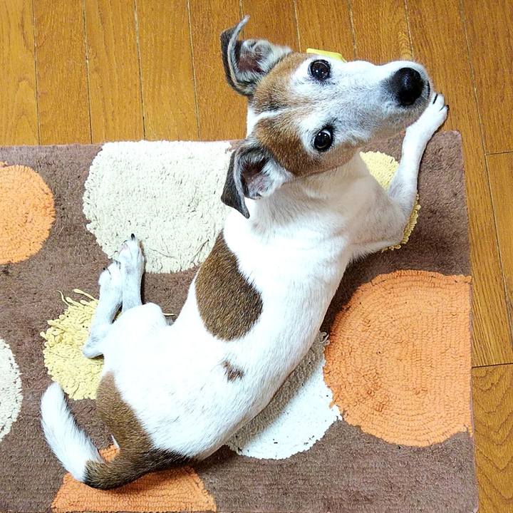 E0c011de 12a8 4316 ab6a 54691f0a8ec5 1567639690721