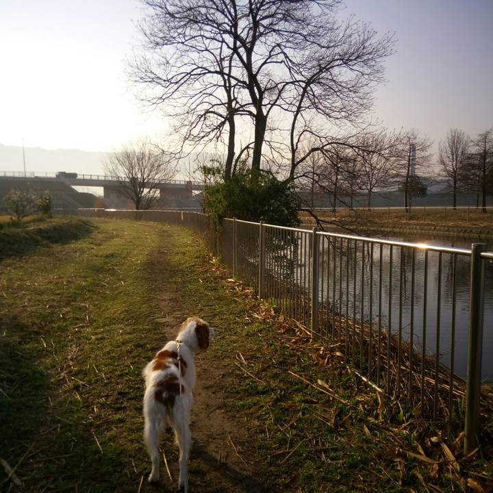 E0c02e7a 8b3f 4eff 90d1 67ef9b9e8cd5 1521073496865