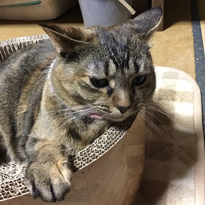 E0c03d4b 121f 43f0 9bb0 64a3e3d2a582 1701433431367