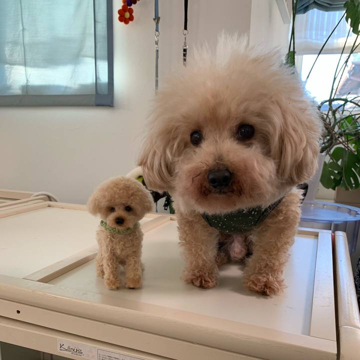 E0c06b70 0672 4a7f bbe7 76b4b6dc3f7c 1583963866742