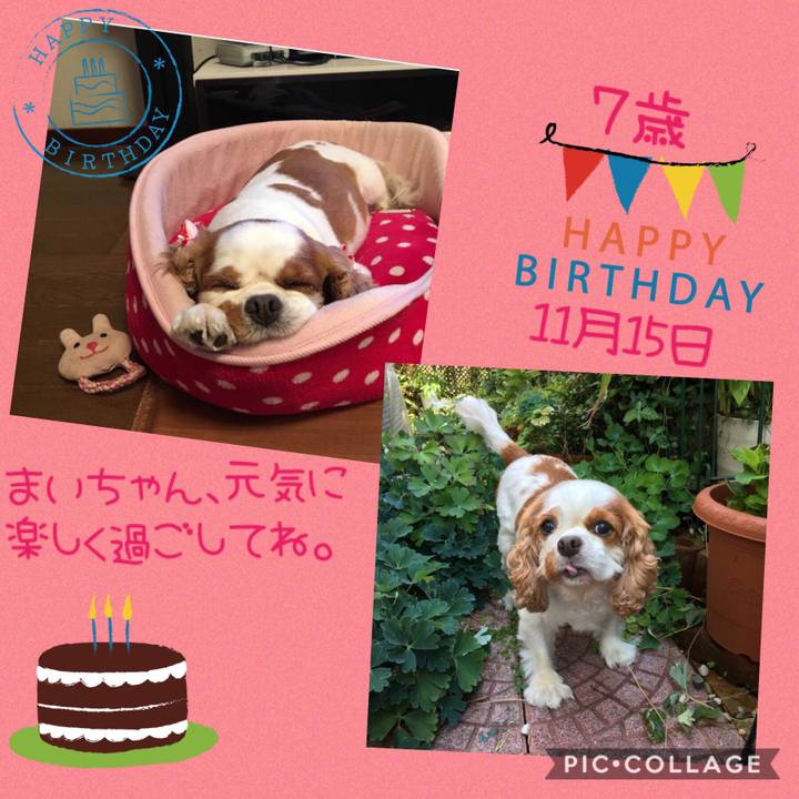 E0c070a0 9bff 49fe 9510 fb4a8d353f03 1542281351662