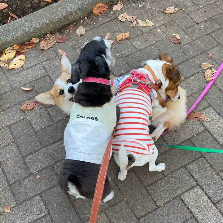 E0c08f99 2609 4f28 8483 5df74ffcb7b2 1699094003587