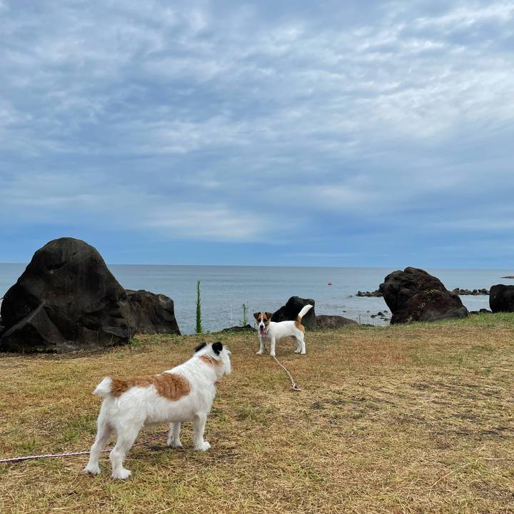 E0c0c62b dc12 42f3 8ee8 371aa194e372 1628465925391