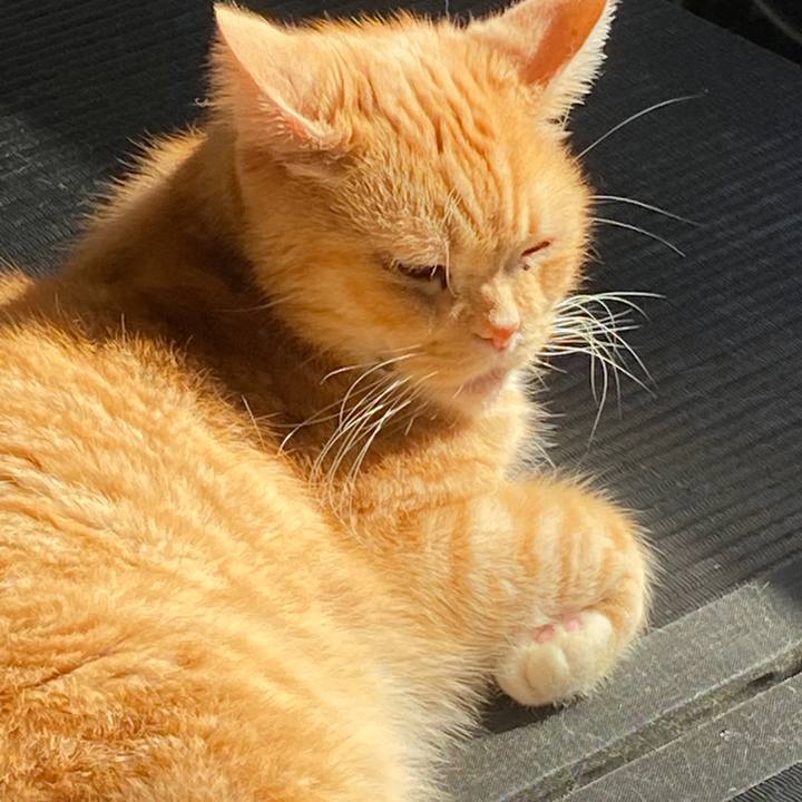 E0c0da18 b064 41fe a2a6 18db20d4db9b 1579489886363