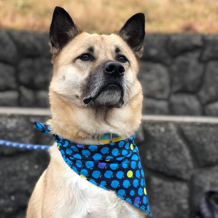 E0c0ea52 d15e 41e0 a87a 285112bb09d4 1578808330731