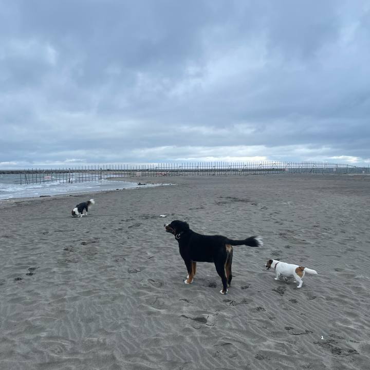 E0c12ee0 3e66 4e5c a5e0 e75878fbb230 1719185352206