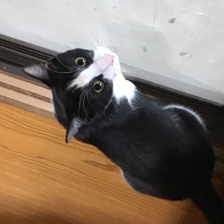 E0c174fa 169e 48f5 8336 f1e4e8f99763 1658226464938