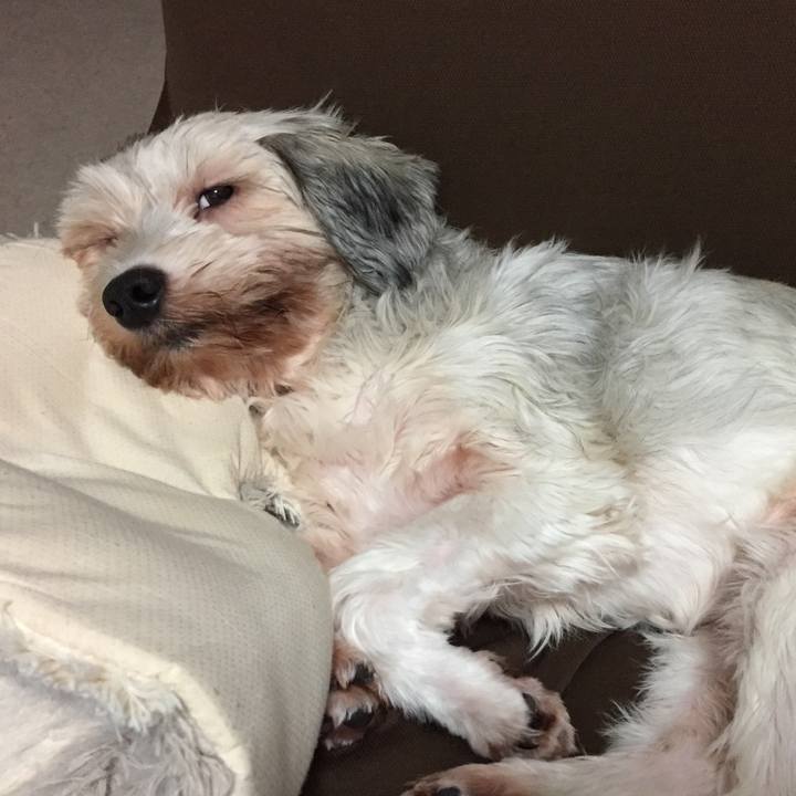 E0c17873 2095 4c95 ae31 342c045ddbf3 1507815188537